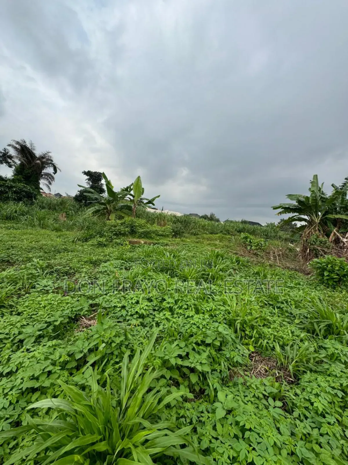 511 SQM Wet Land for Sale at Idi Orogbo Ojurin Akobo Area Ibadan in Akobo