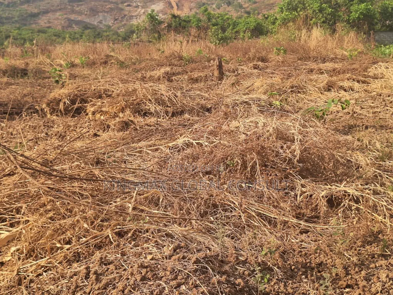 Sweet Katampe Extension Plot for Sale , Size 4200sqm in Katampe Extension