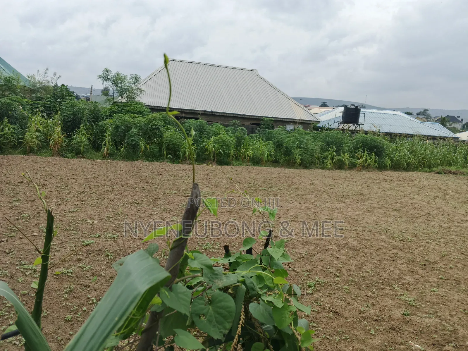 Virgin Land for Sale in Phase 4 / Jikwoyi