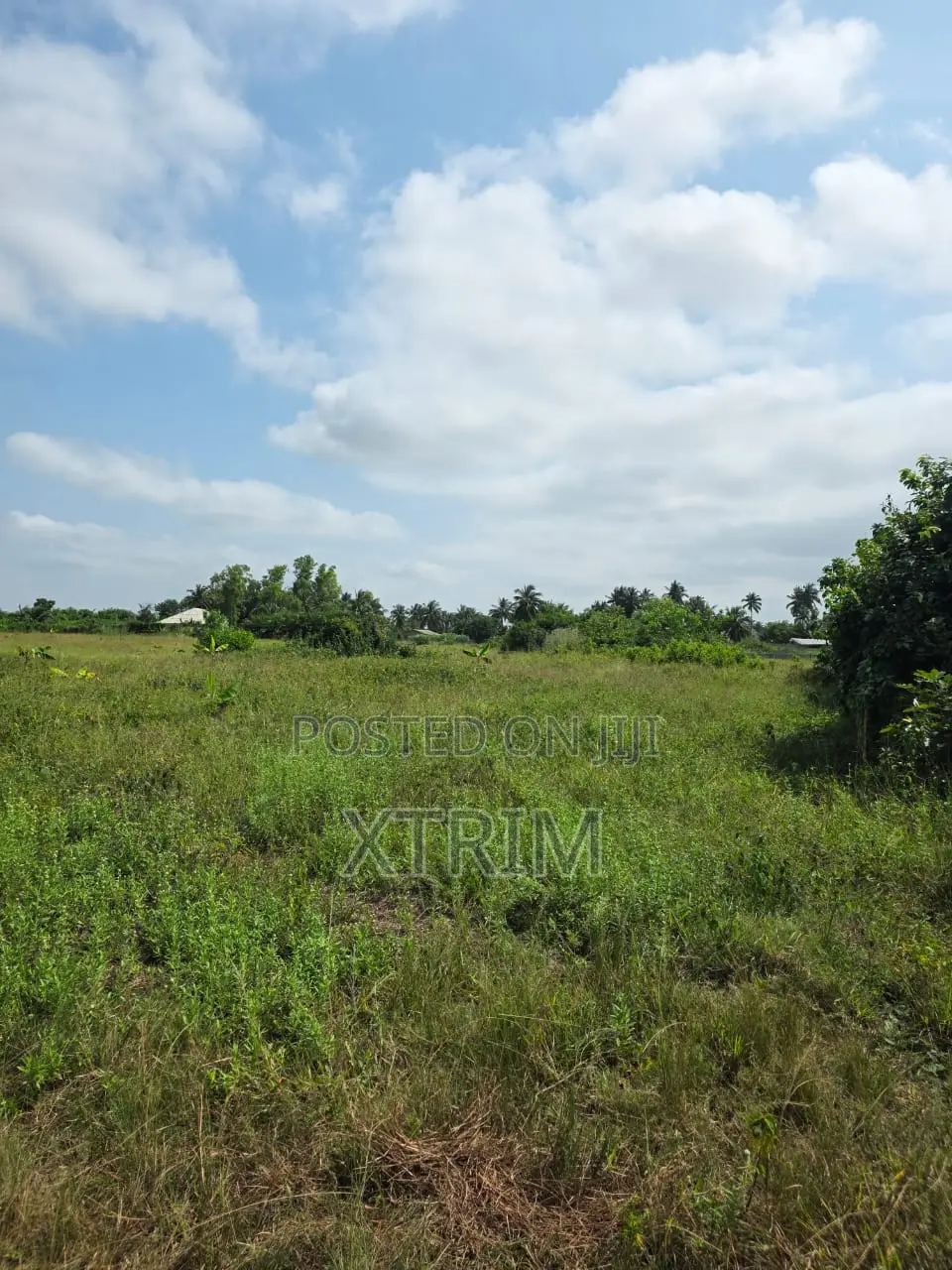 Prime Land for Sale – Badagry, Lagos! in Badagry / Badagry