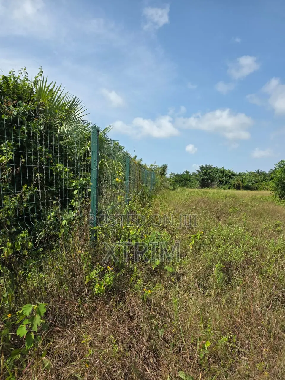 Prime Land for Sale – Badagry, Lagos! in Badagry / Badagry