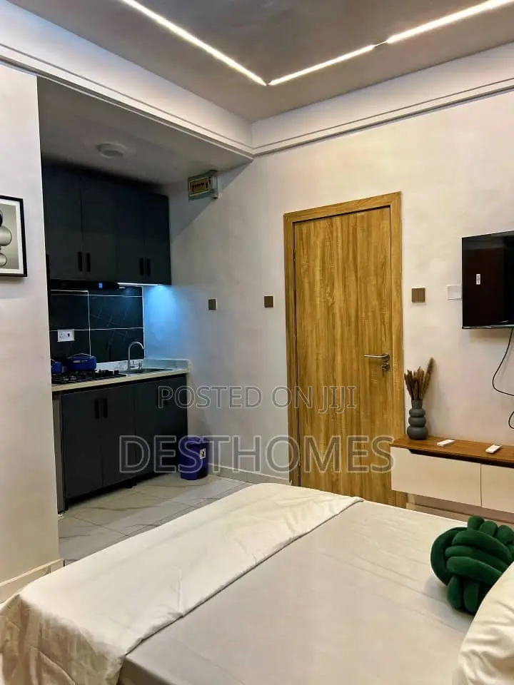 Cozy Studio Apartment at Surulere in Surulere