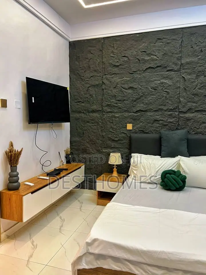 Cozy Studio Apartment at Surulere in Surulere