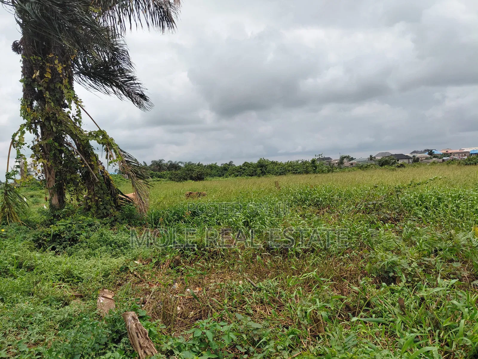 120ft / 240ft ( 4 Plots)Facing 2 Streets Baptist B/S Ijagemo New Rd in Ijegun