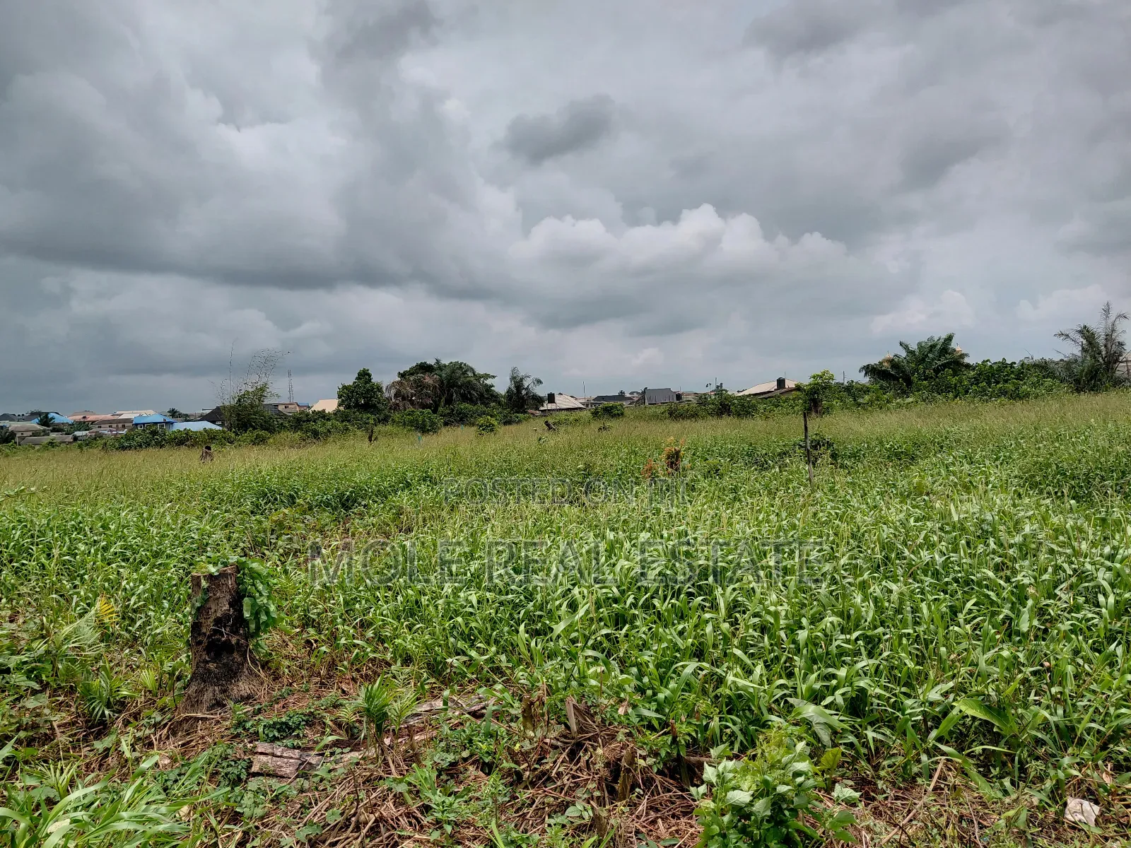 120ft / 240ft ( 4 Plots)Facing 2 Streets Baptist B/S Ijagemo New Rd in Ijegun
