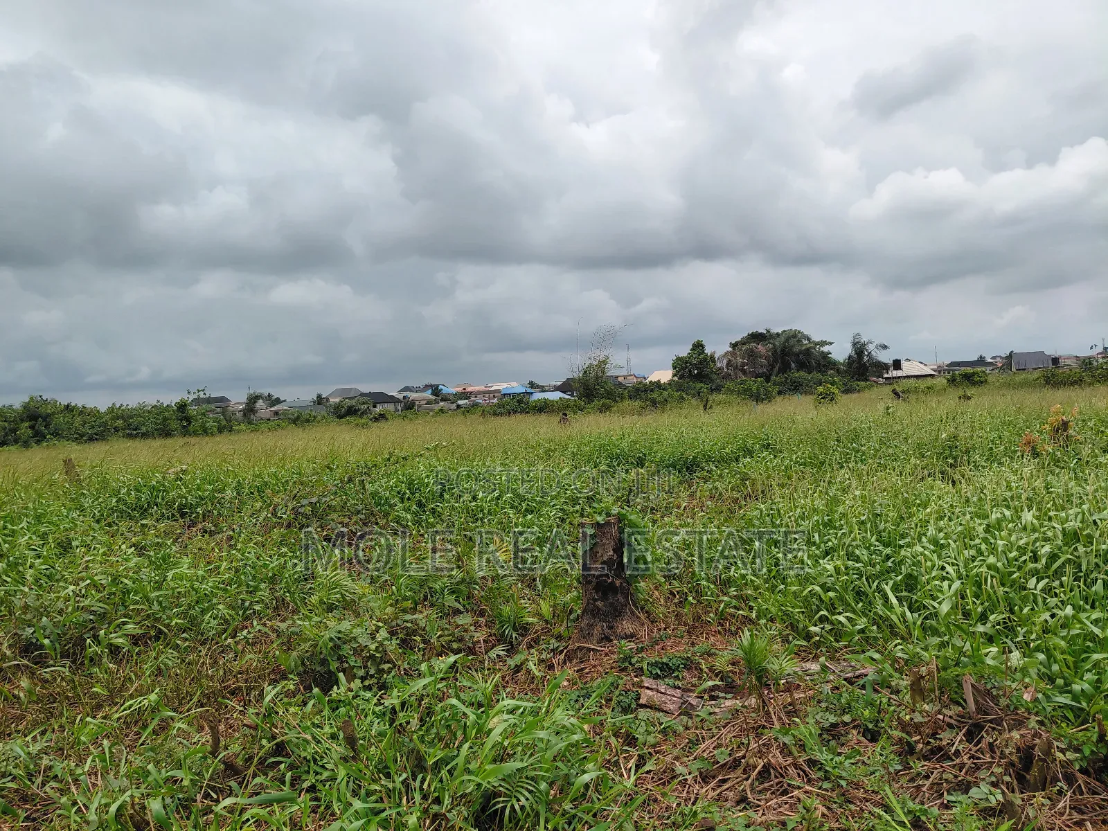 120ft / 240ft ( 4 Plots)Facing 2 Streets Baptist B/S Ijagemo New Rd in Ijegun