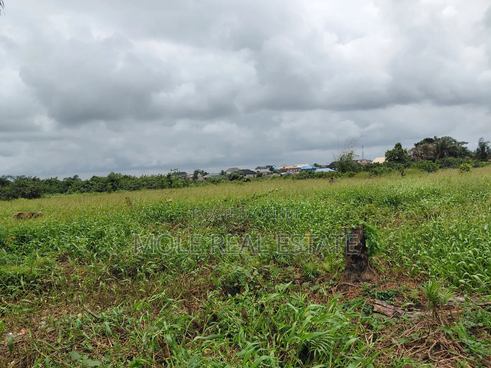 120ft / 240ft ( 4 Plots)Facing 2 Streets Baptist B/S Ijagemo New Rd in Ijegun