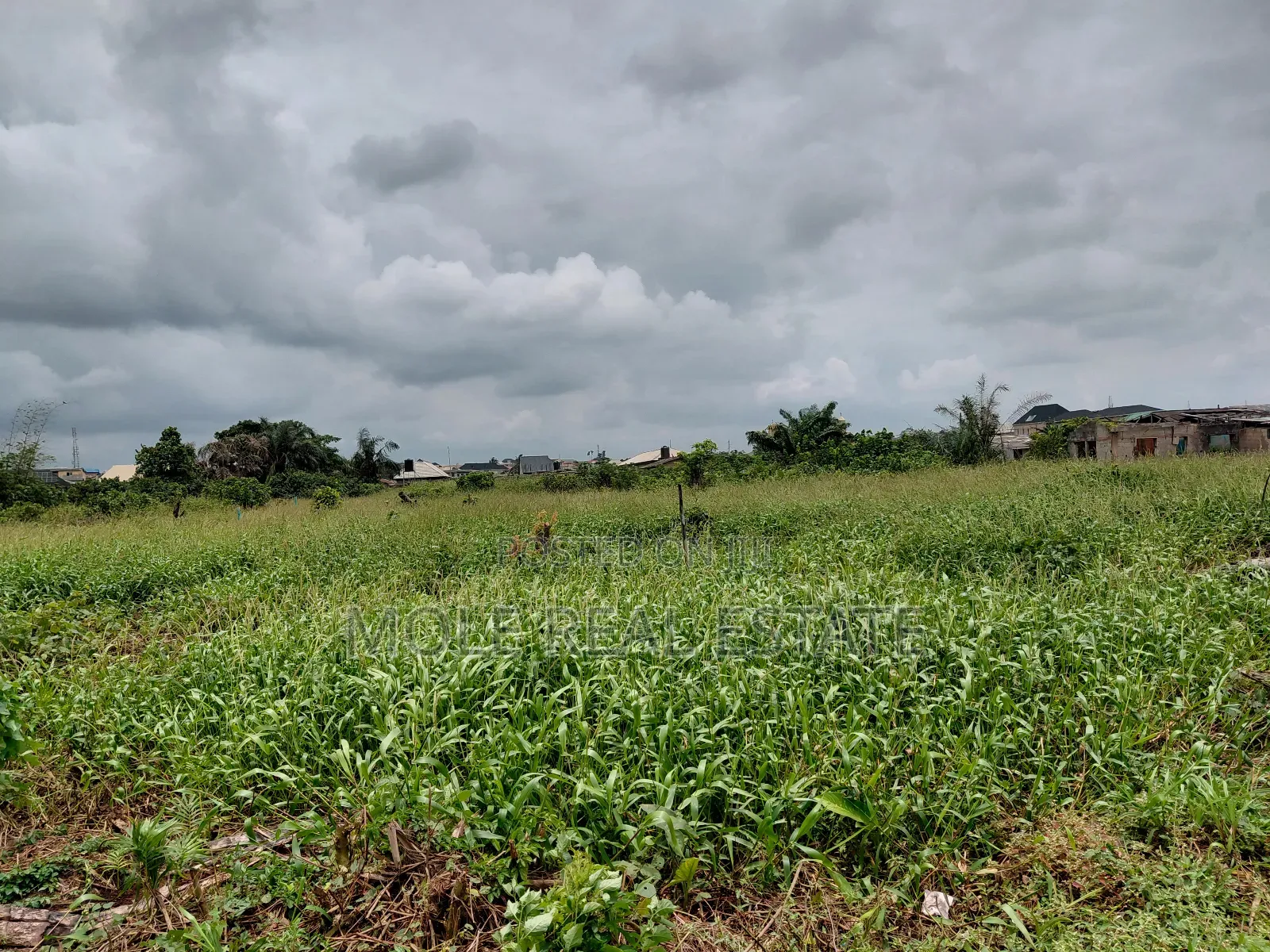 120ft / 240ft ( 4 Plots)Facing 2 Streets Baptist B/S Ijagemo New Rd in Ijegun