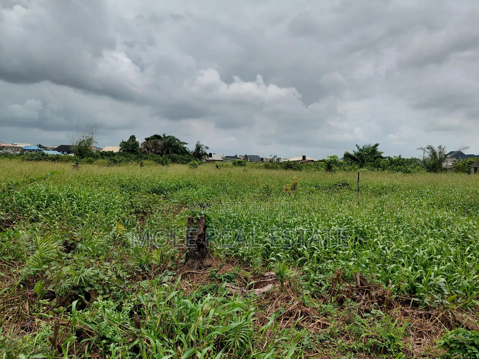 30ft by 120ft Ikotun Iguando Rd Close to the Road in Ikotun/Igando