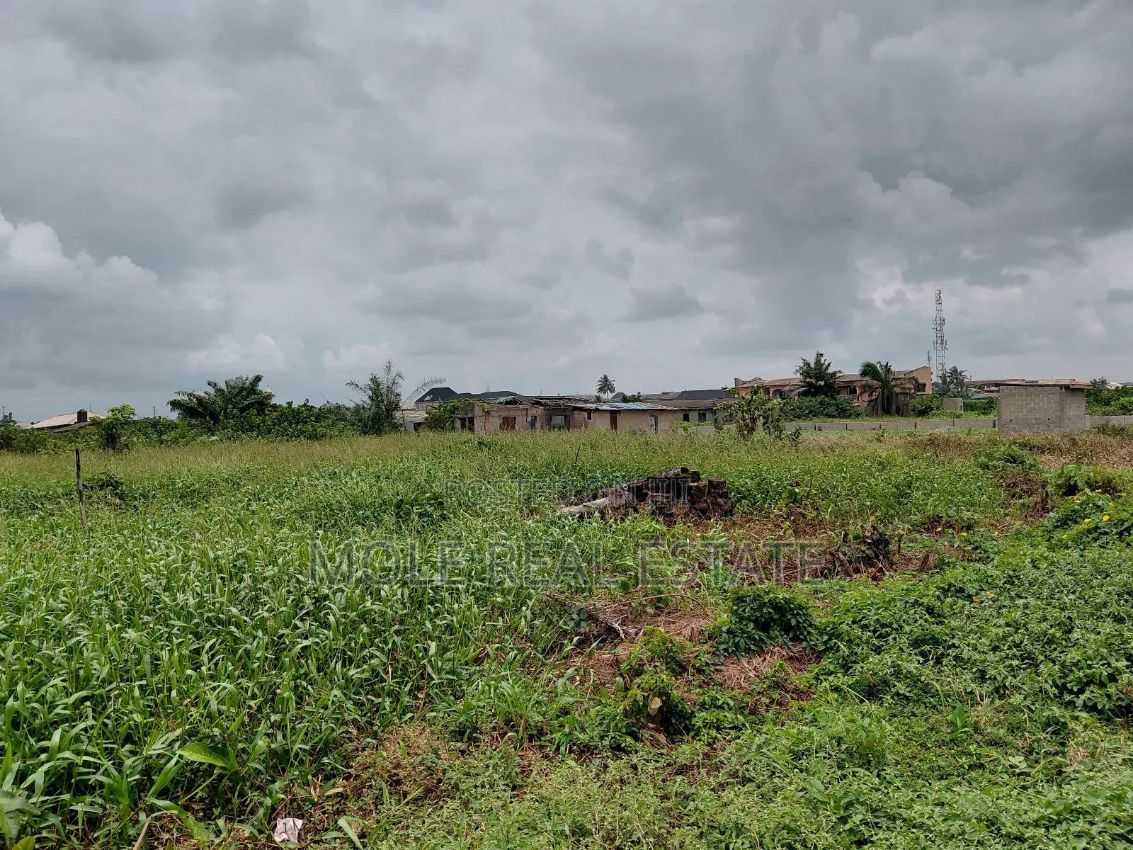 30ft by 120ft Ikotun Iguando Rd Close to the Road in Ikotun/Igando