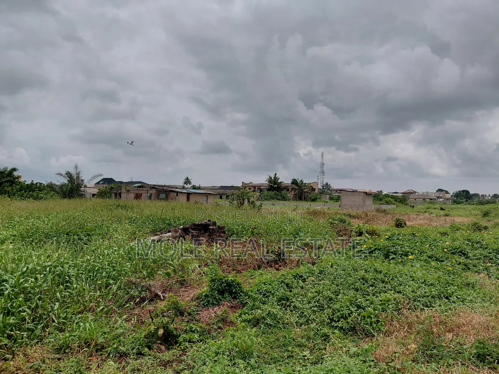 30ft by 120t Half Plot Faith Bustop Ijegemo Near New Rd in Ijegun