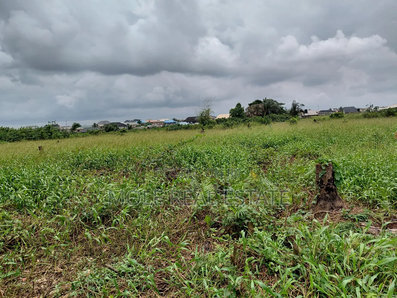 60ft by 120ft Plot of Land Faith Bustop Ijegemo Ojo Lcda in Ijegun