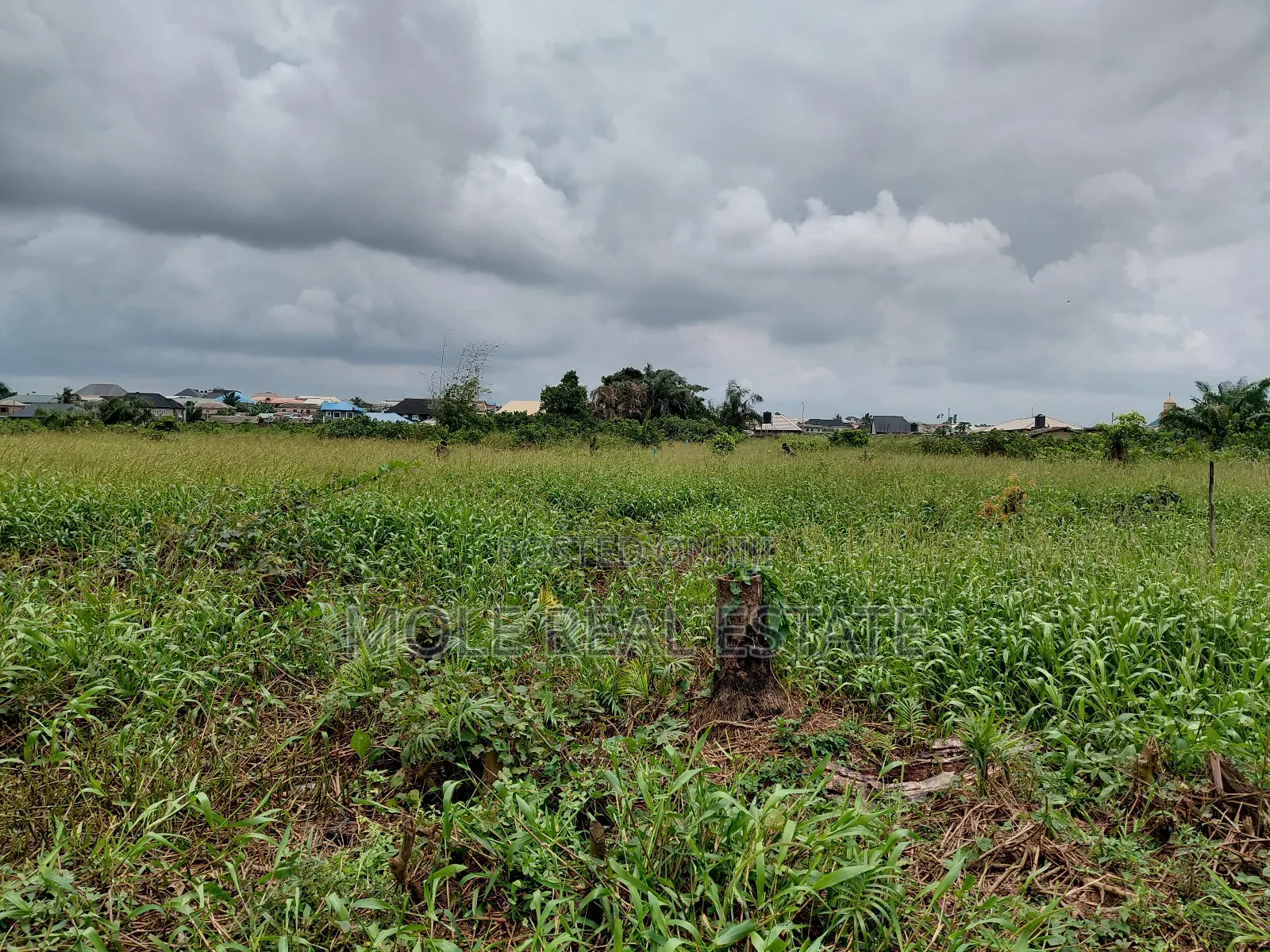 60ft by 120ft Plot of Land Faith Bustop Ijegemo Ojo Lcda in Ijegun