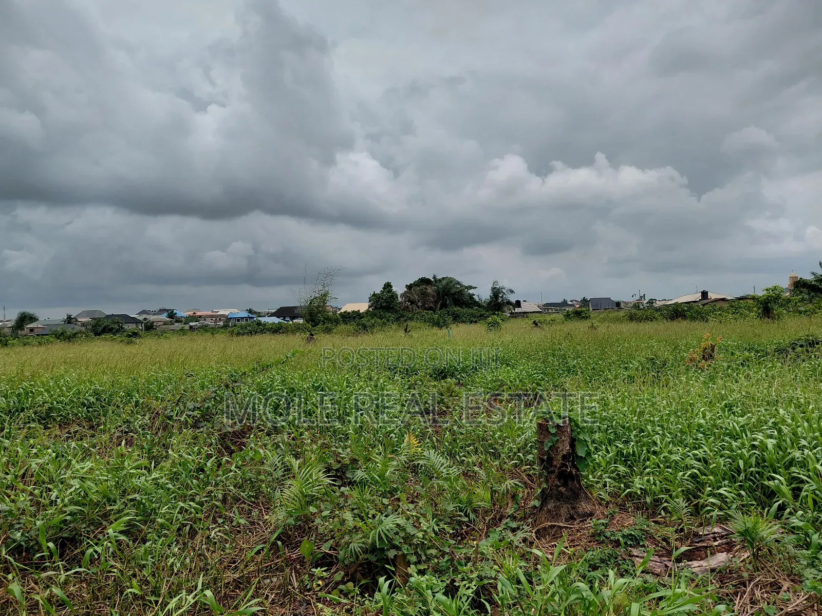 60ft by 120ft Plot of Land Faith Bustop Ijegemo Ojo Lcda in Ijegun