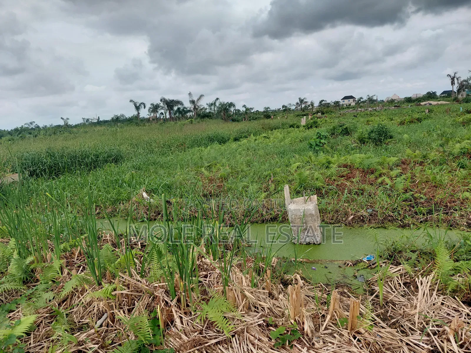 120ft by 120ft 4 Plots Facing Streets Faith B/S Ijegemo in Ijegun