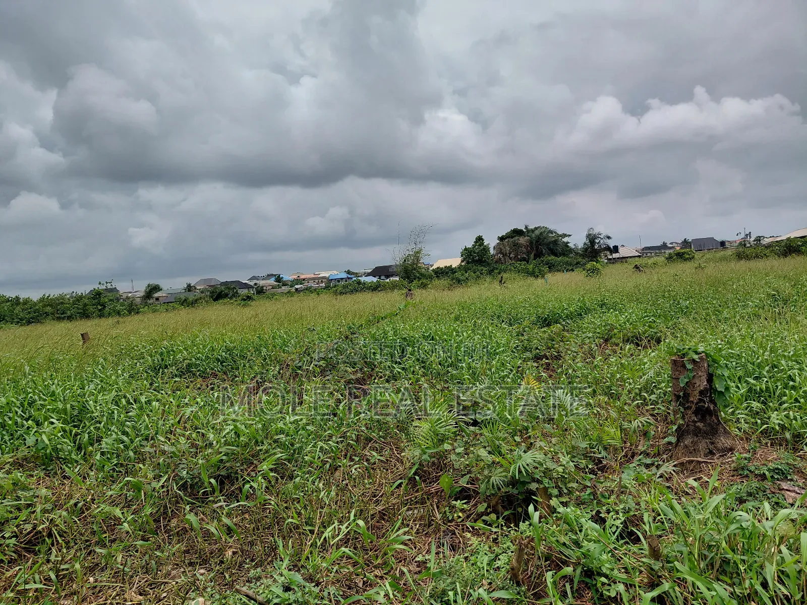 Plots Of Land Close To Road At Ijegun New Rd in Ijegun