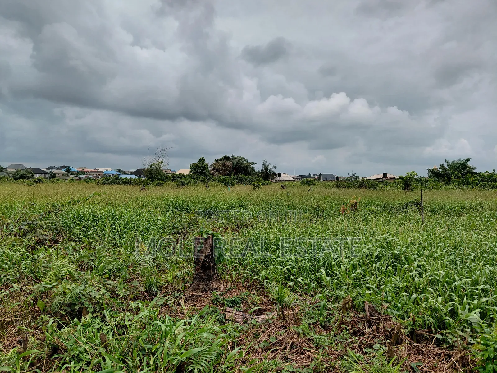 Plots Of Land Close To Road At Ijegun New Rd in Ijegun