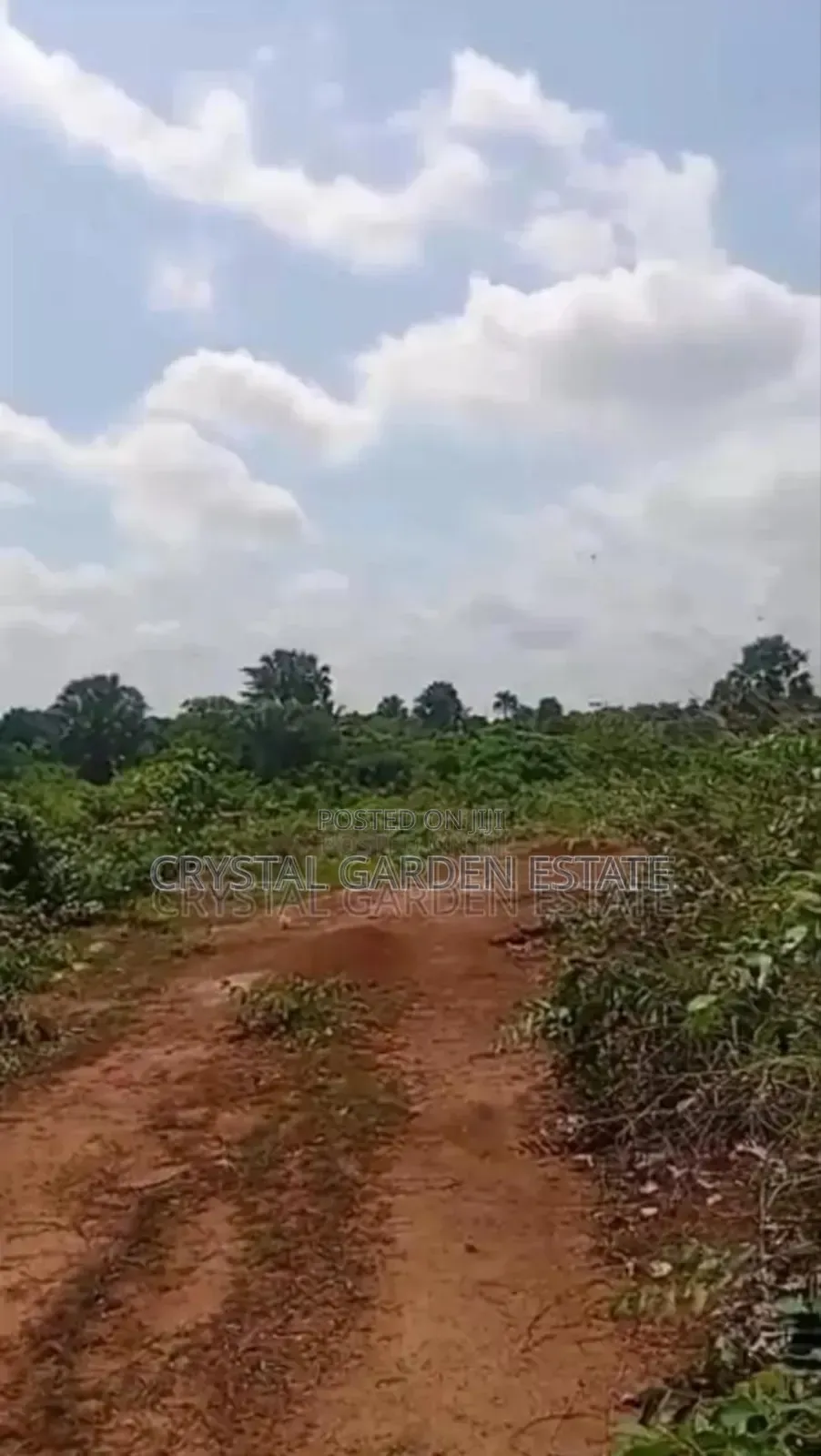50x100sq. Meter Land For Sale At Nkwelle Ezunaka Anambra State. in Onitsha