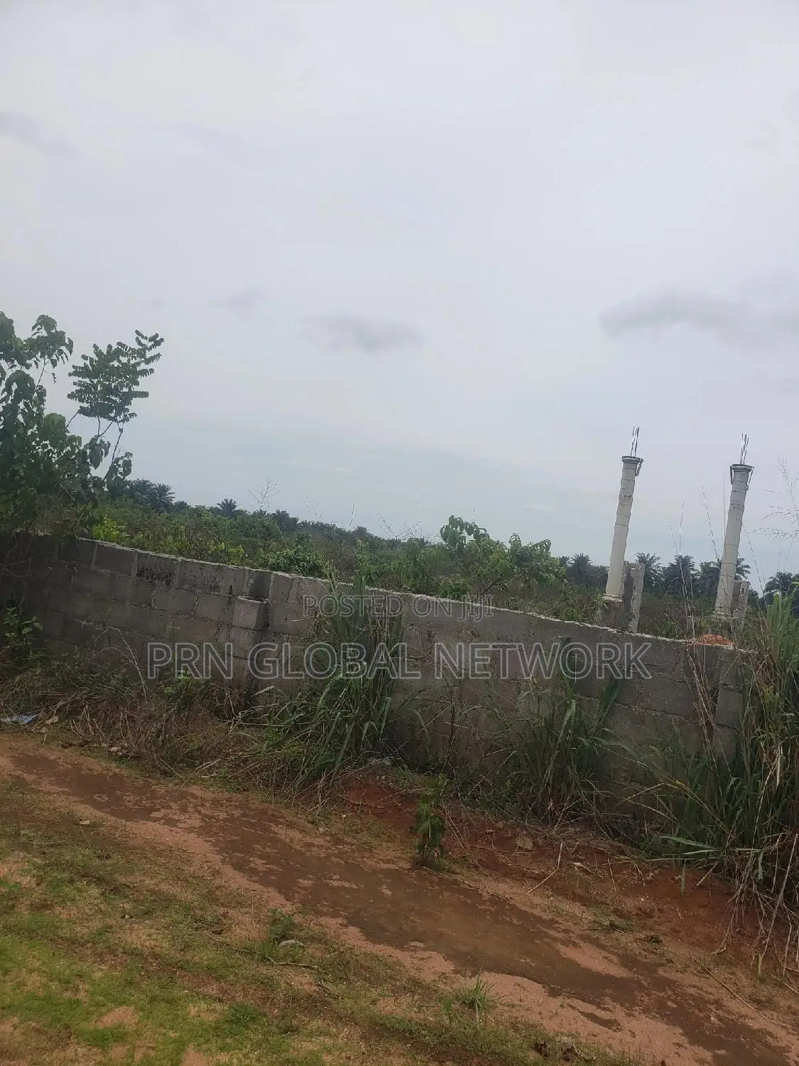 Plots Of Lands Available At Mgbirichi Waiting For A Buyer. in Owerri