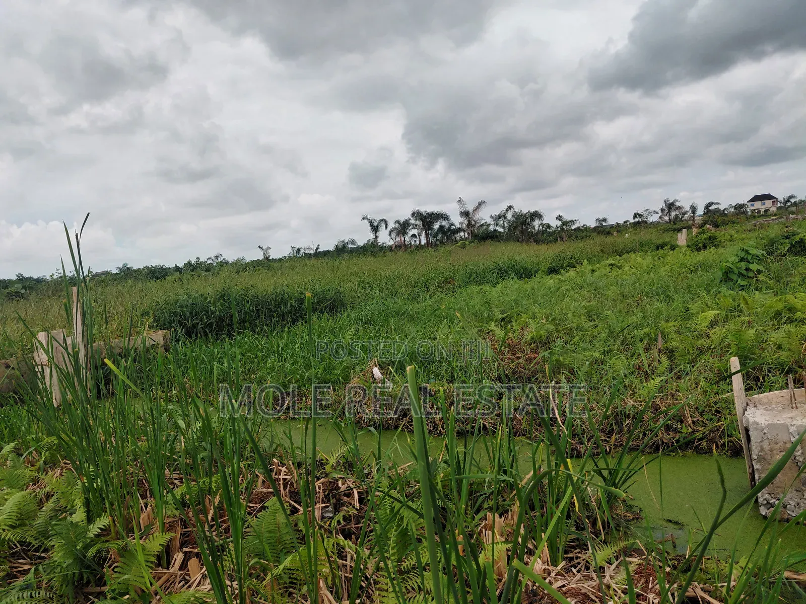 600sqm Full Plot Across Fasheun Bridge Isheri Osun Alimosh in Ikotun/Igando