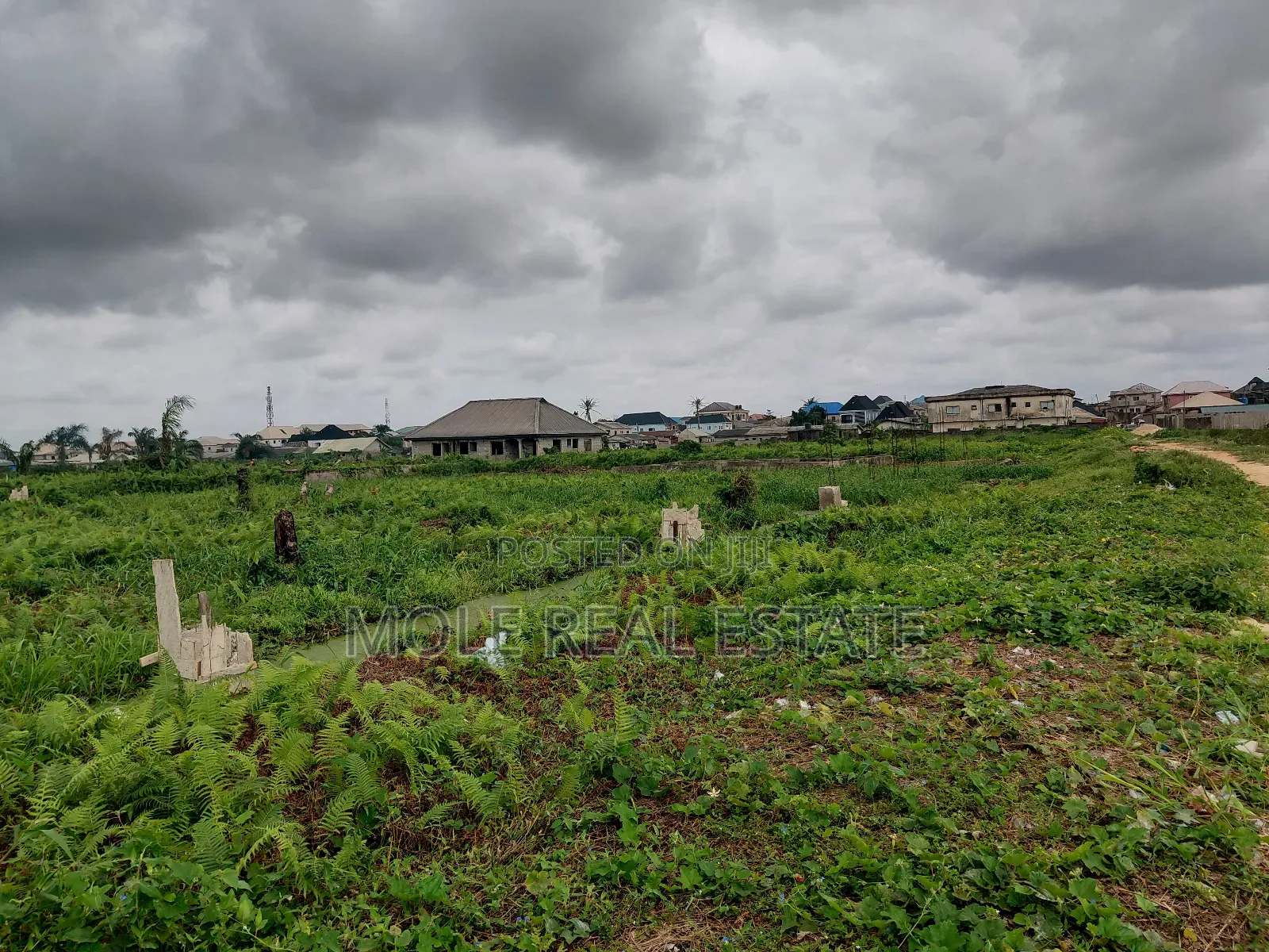 20 000 Acers of Mixed Farmland Ogun State in Odeda