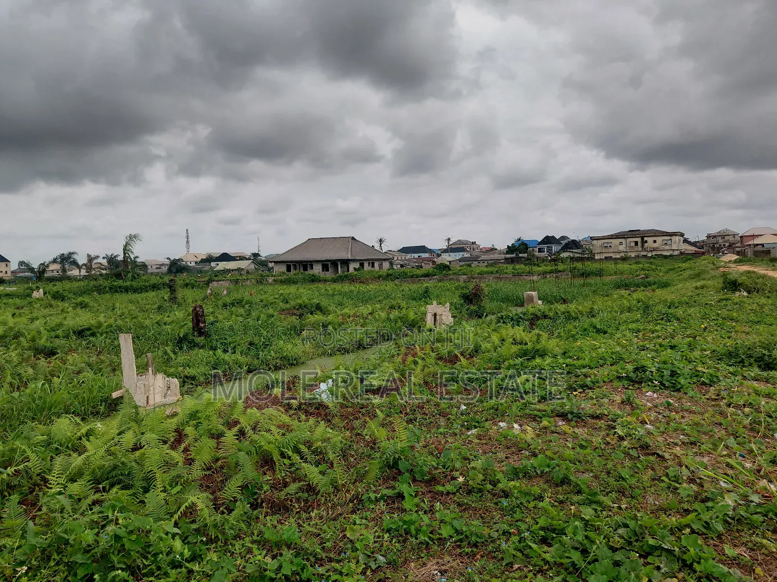 20 000 Acers of Mixed Farmland Ogun State in Odeda