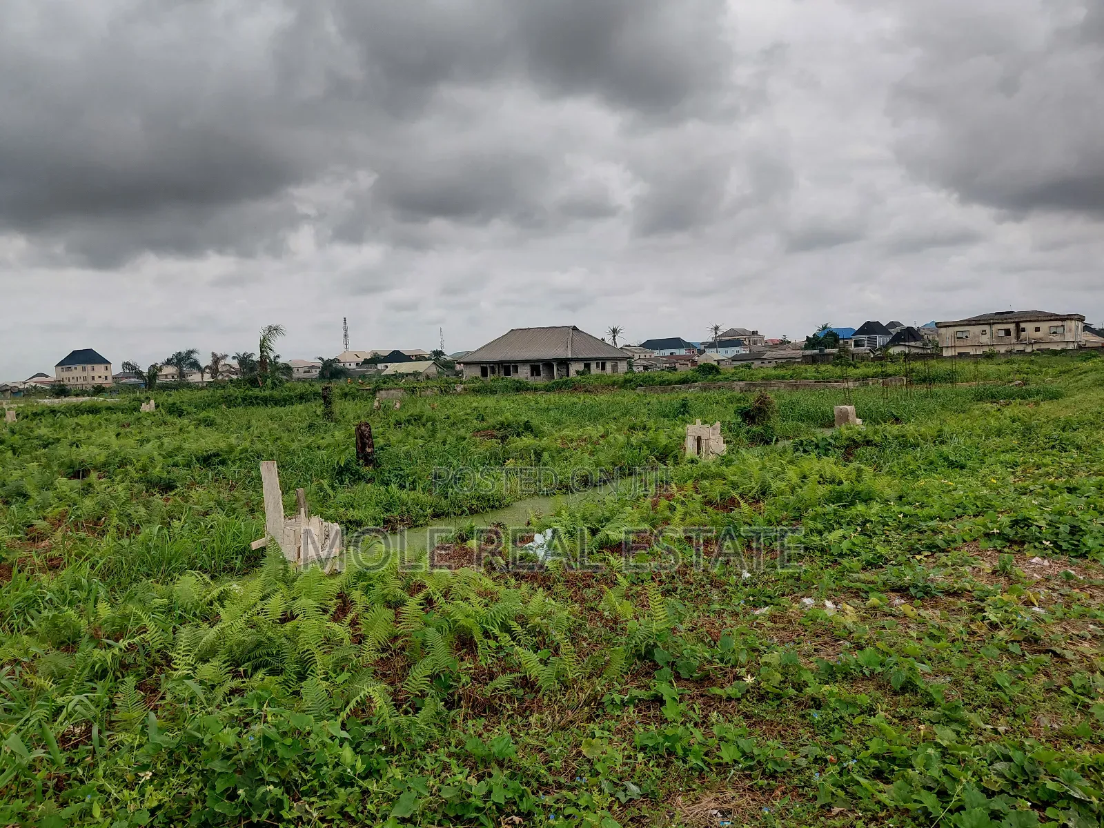 20 000 Acers of Mixed Farmland Ogun State in Odeda