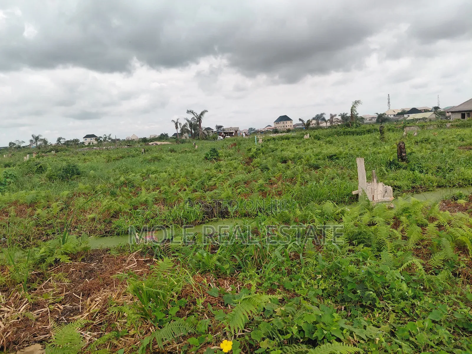 20 000 Acers of Mixed Farmland Ogun State in Odeda