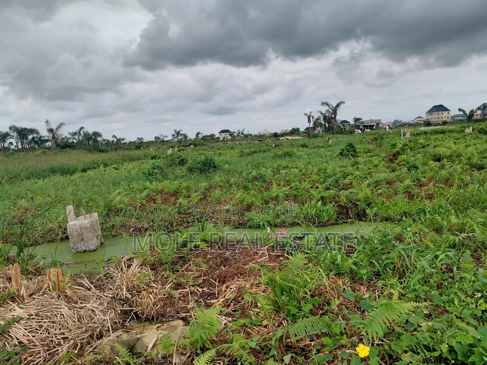 300sqm Half Plot Abaranje Off Major Rd in Abaranje