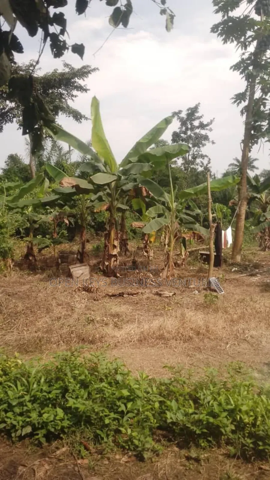 A Poultry Farm on 1 Acre of Land at Abudoro Olorunda Abaa,Ibadan in Akobo