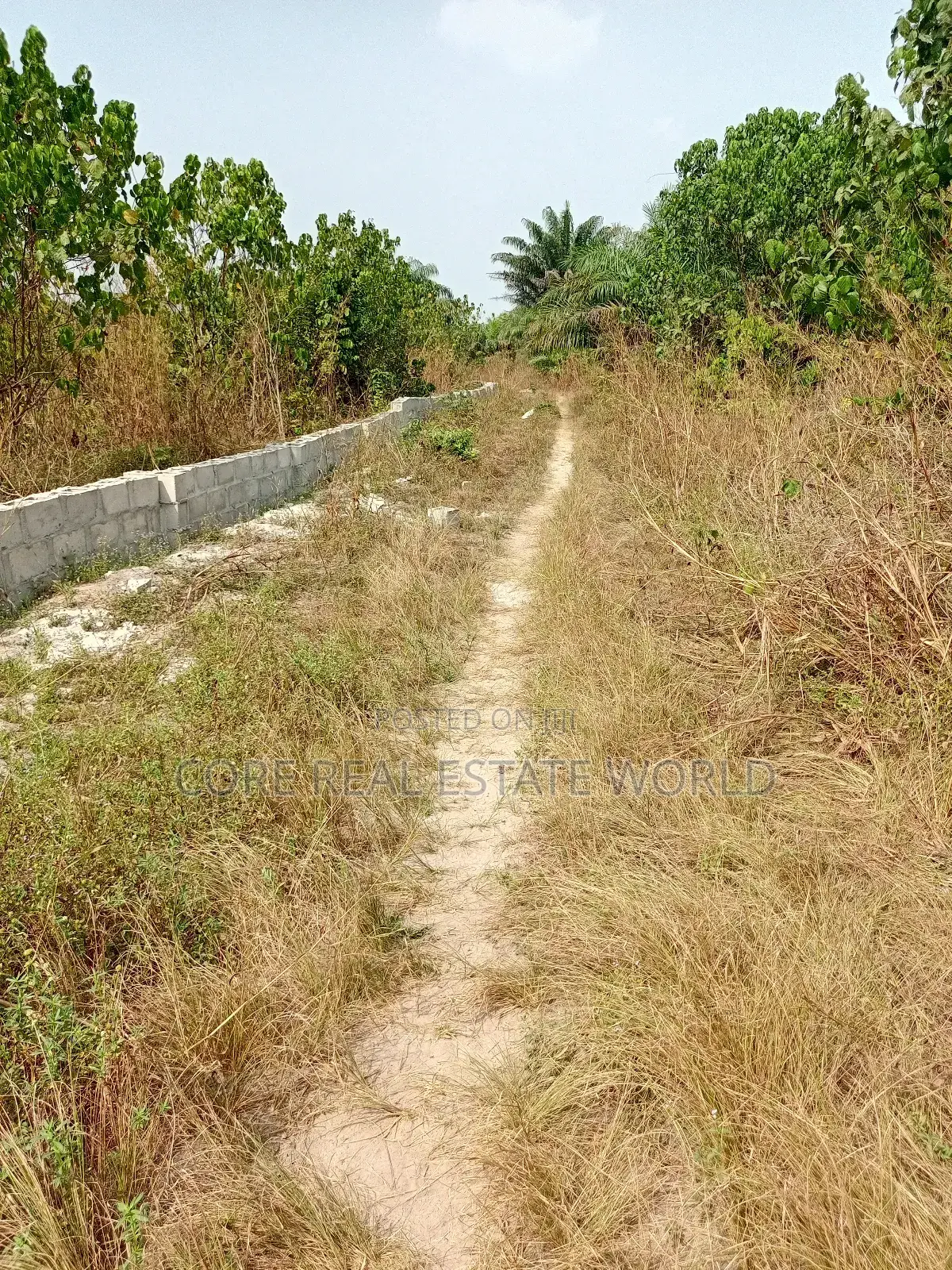 Free From Govt Wahala, Elerangbe, Oriba Alasia, Ibeju Lekki in Elerangbe
