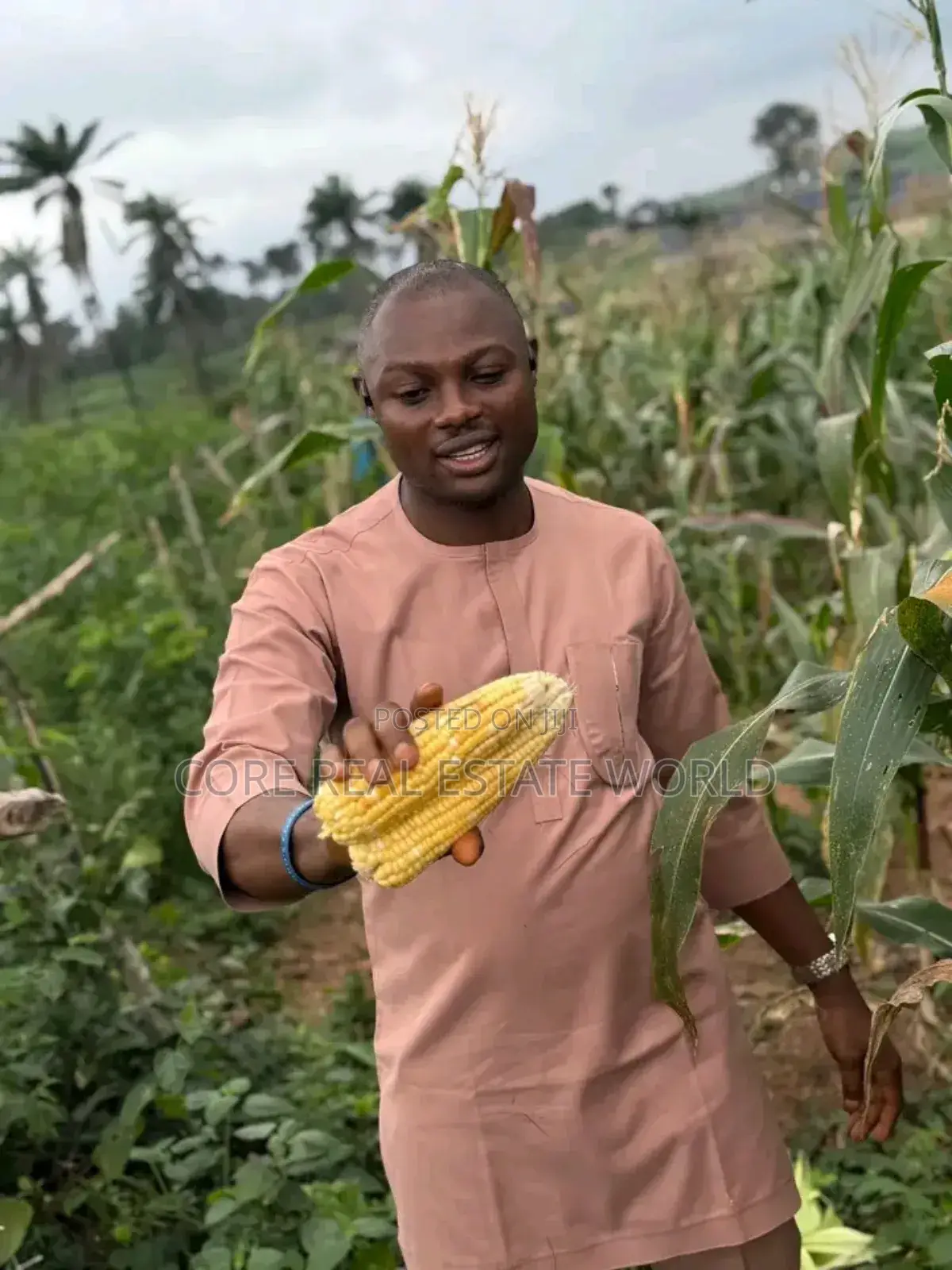 Largest Farm Estate in Africa, Ogun, Products Is Has Been Going On in Obafemi-Owode