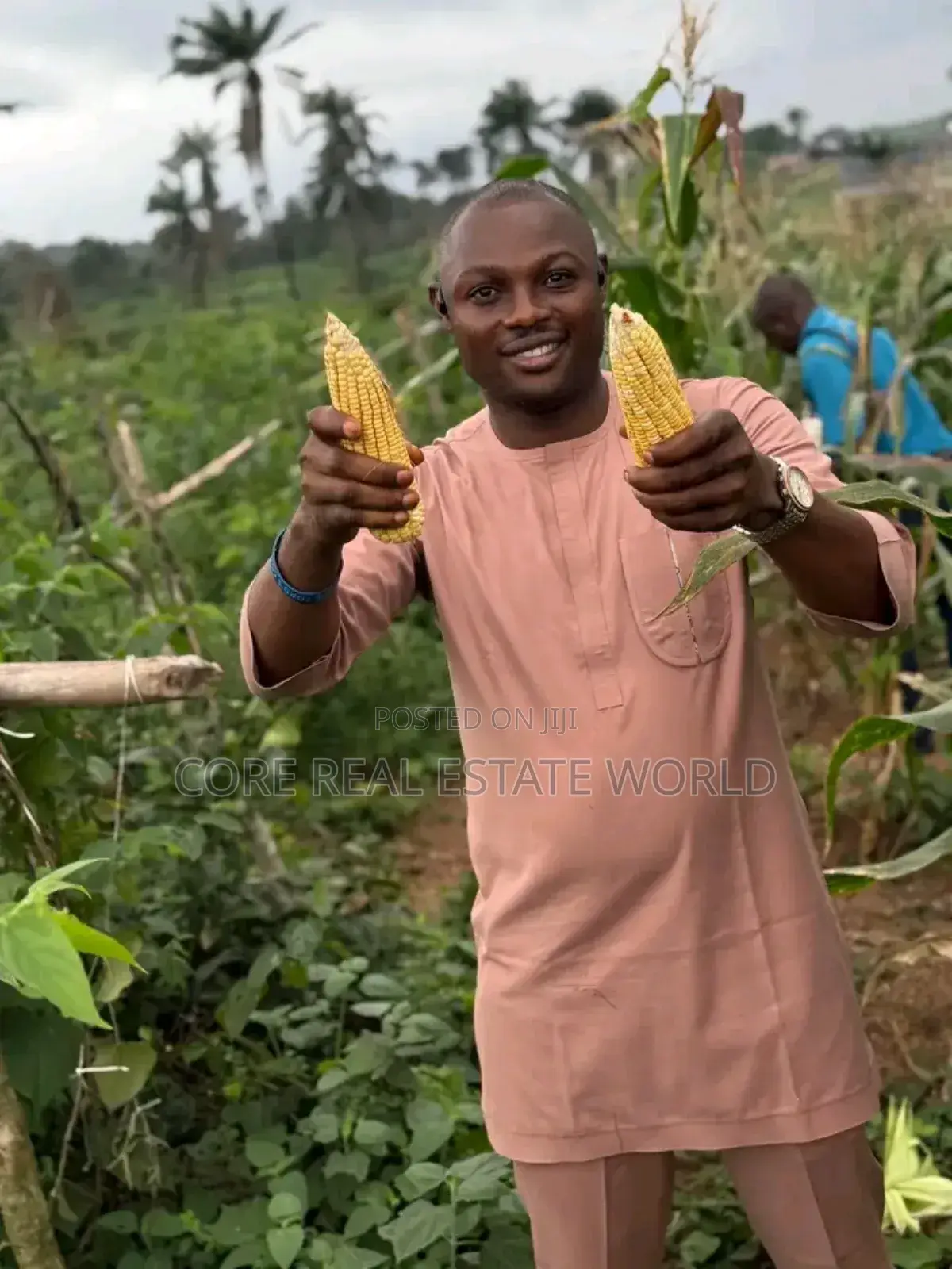 Very Fetile Farm Estate Land in Obafemi-Owode