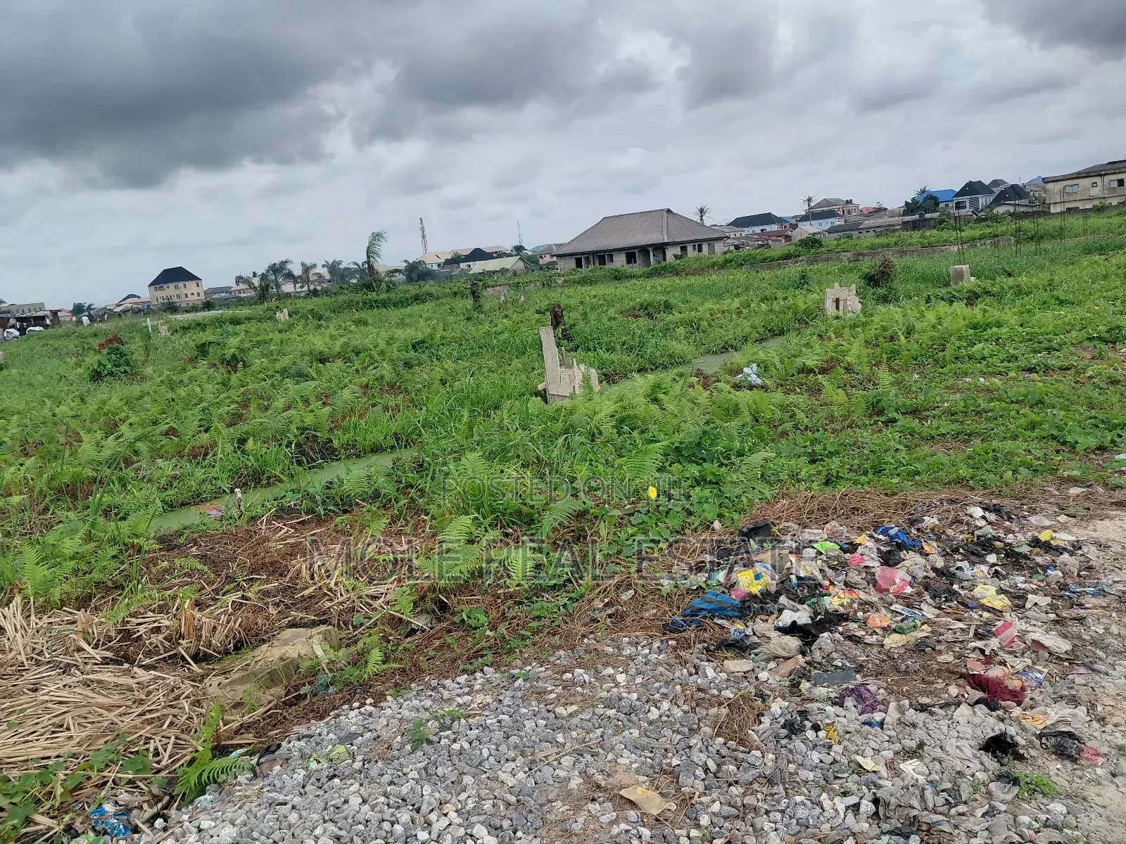 5000 Acres of Mixed Farmland Loloko Ogun State in Obafemi-Owode