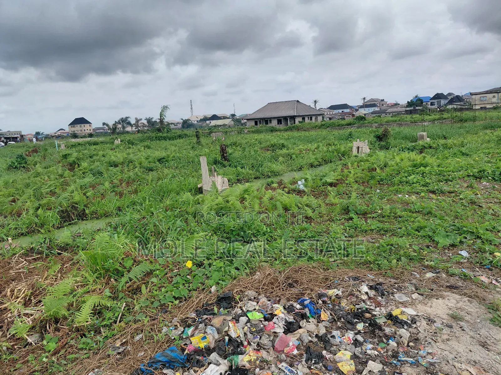 5000 Acres of Mixed Farmland Loloko Ogun State in Obafemi-Owode