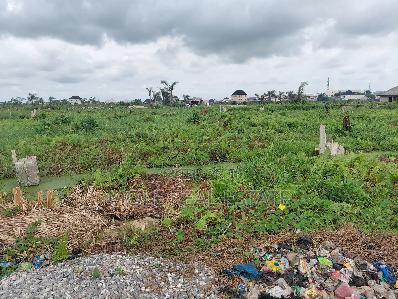 5000 Acres of Mixed Farmland Loloko Ogun State in Obafemi-Owode