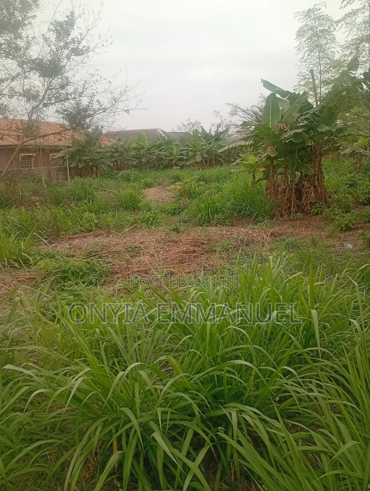 Properties in Ijede / Ikorodu