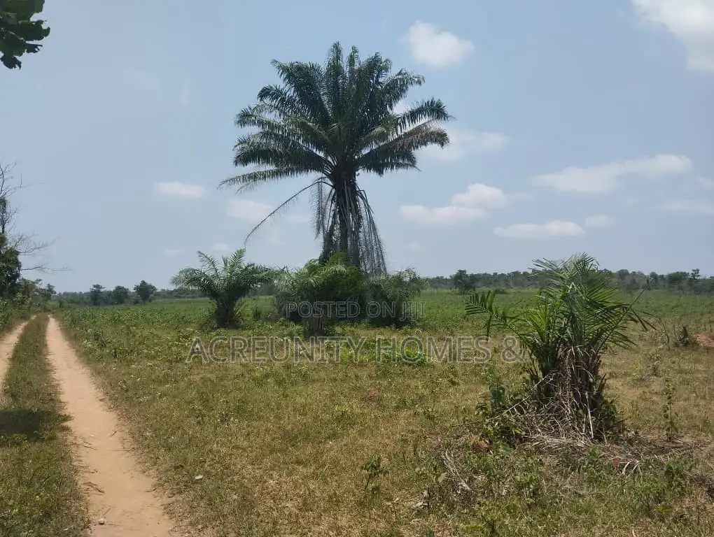 100 Acres of Fertile Farmland – Okeho, Kajola Local Govt Oyo State in Kajola