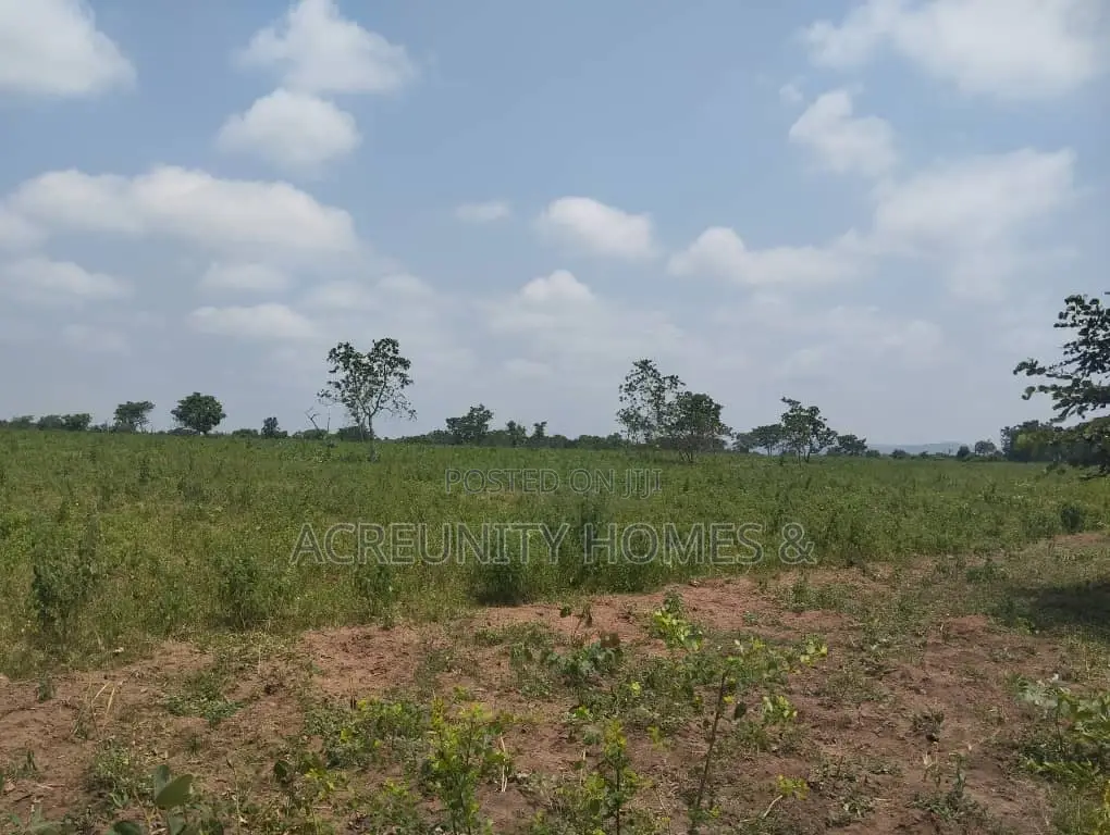 100 Acres of Fertile Farmland – Okeho, Kajola Local Govt Oyo State in Kajola