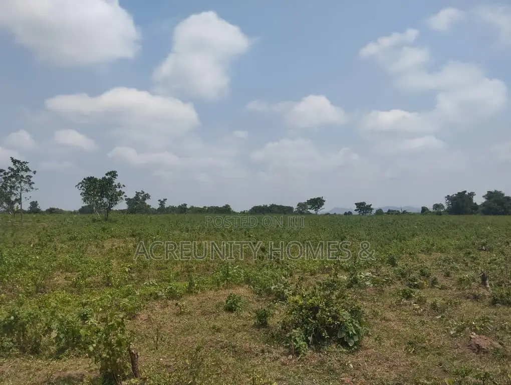 100 Acres of Fertile Farmland – Okeho, Kajola Local Govt Oyo State in Kajola