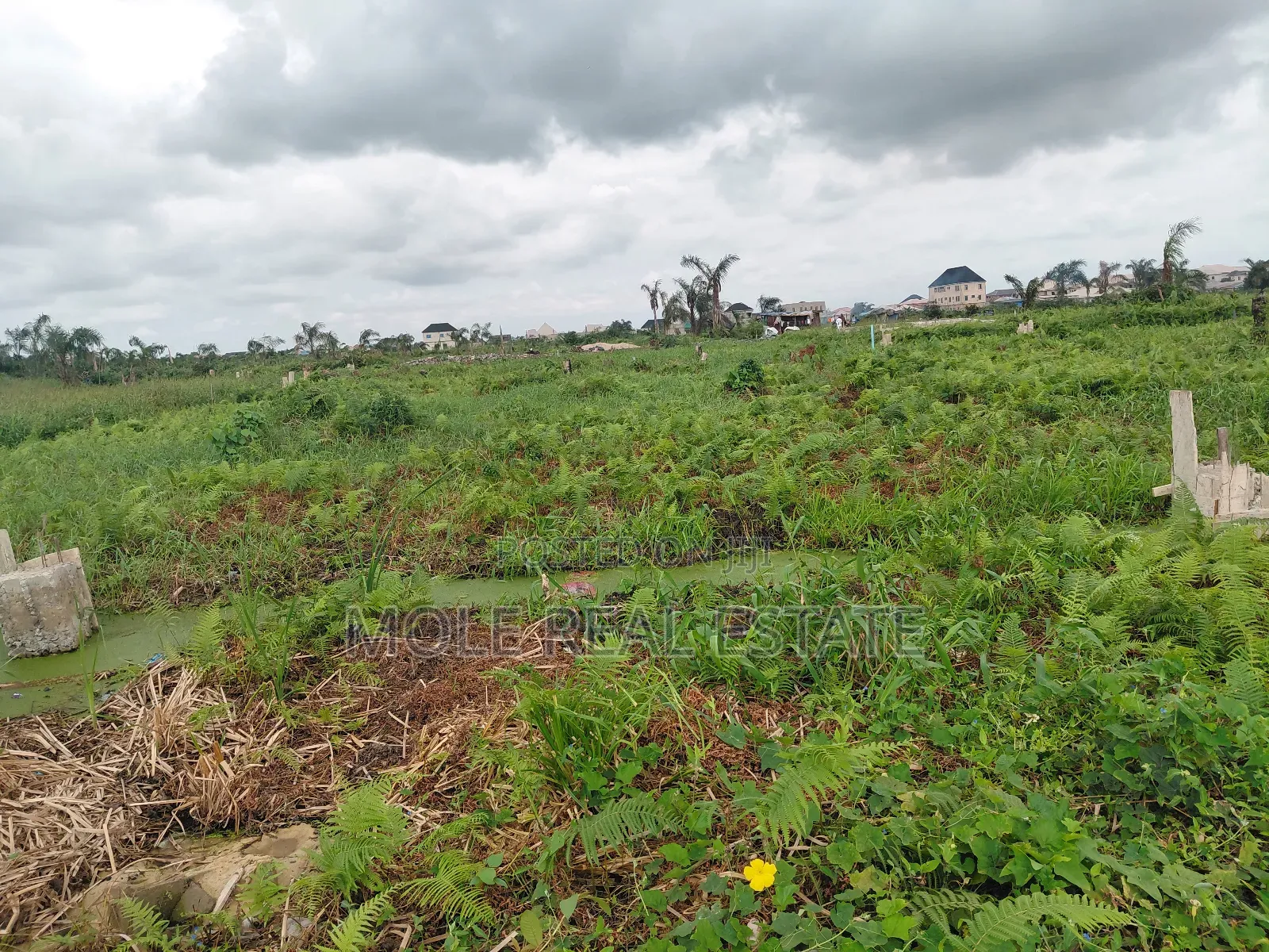 22ft by 80ft Plot Ikotun Iguando With Fence in Ikotun/Igando