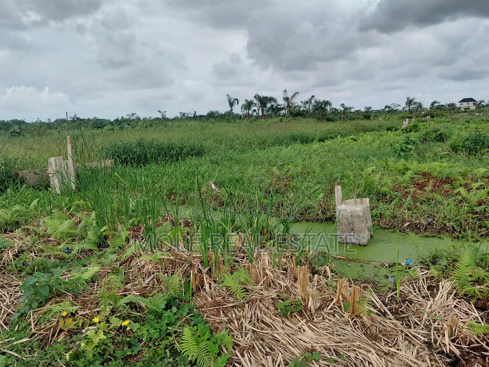 22ft by 80ft Plot Ikotun Iguando With Fence in Ikotun/Igando