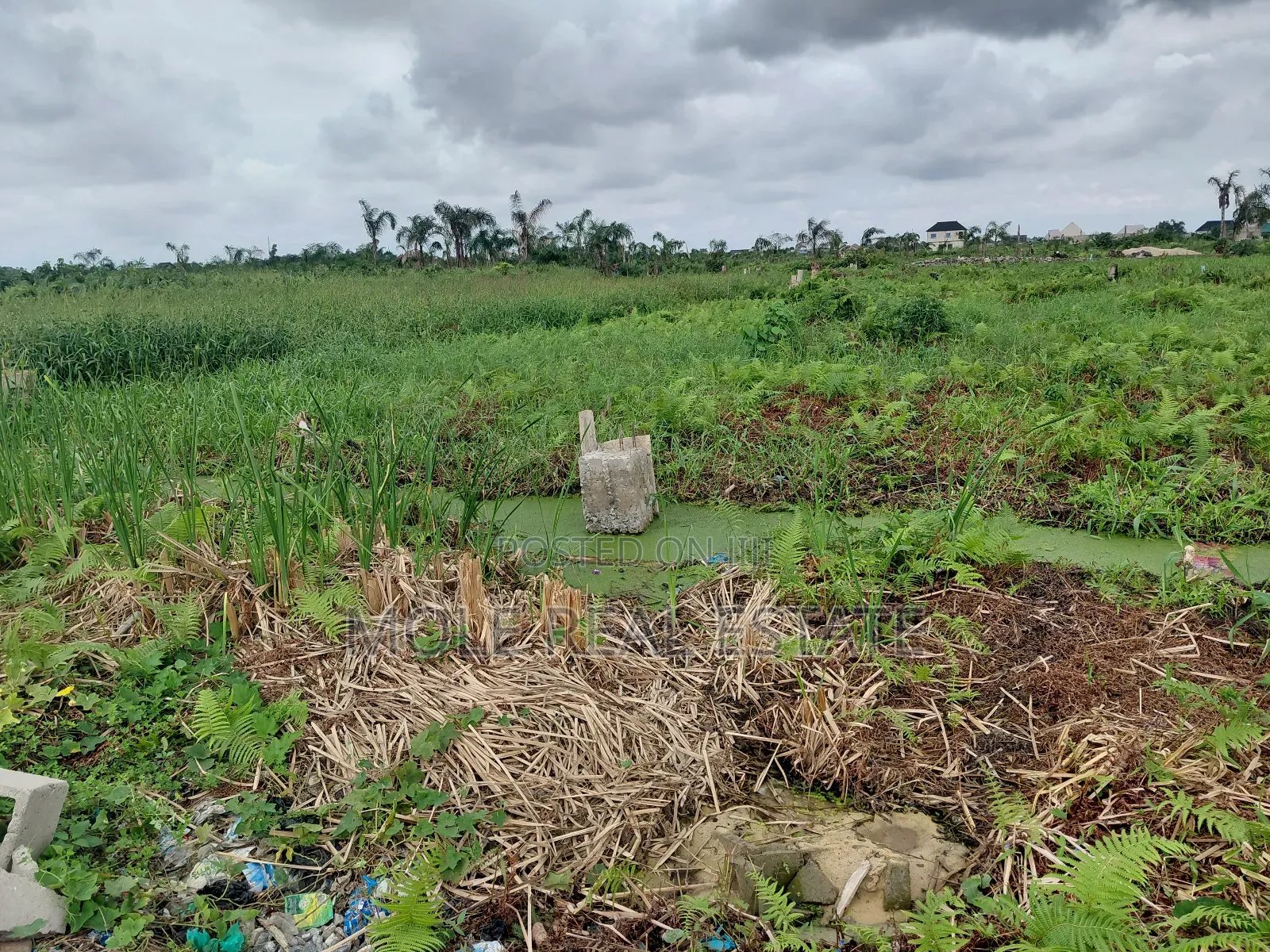 40ft by 60ft Plot Ikotun Iguando Close to the Rd in Ikotun/Igando