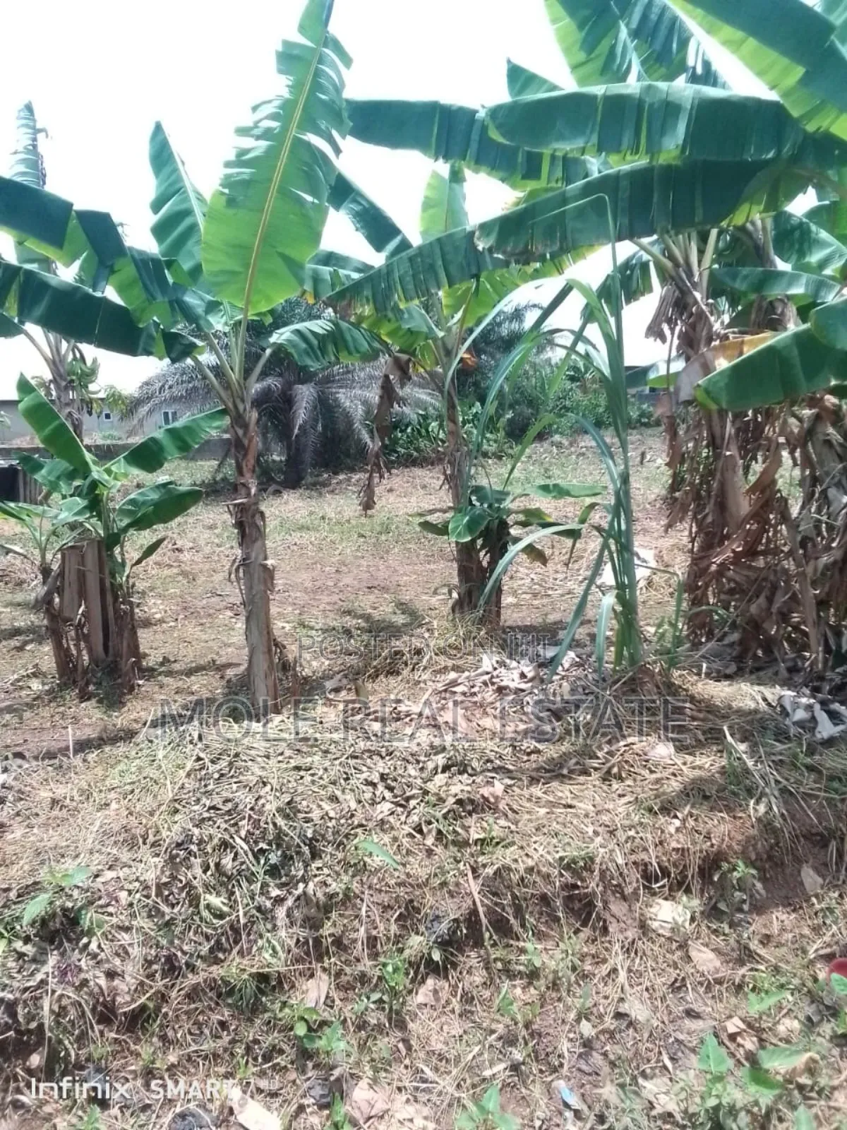 2 Plots of Land Akenson Near Iguando With Foundation in Ikotun/Igando