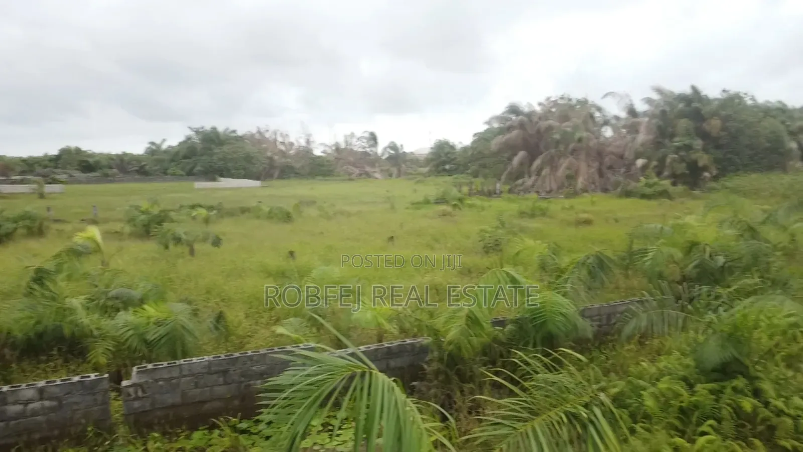 Steal This 3 Plots Juicy Offer in Bogije
