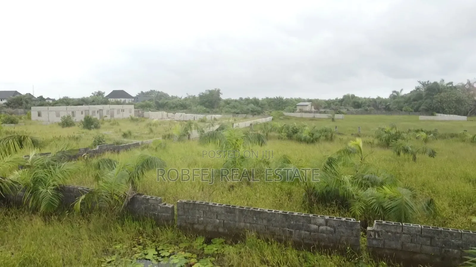 Steal This 3 Plots Juicy Offer in Bogije