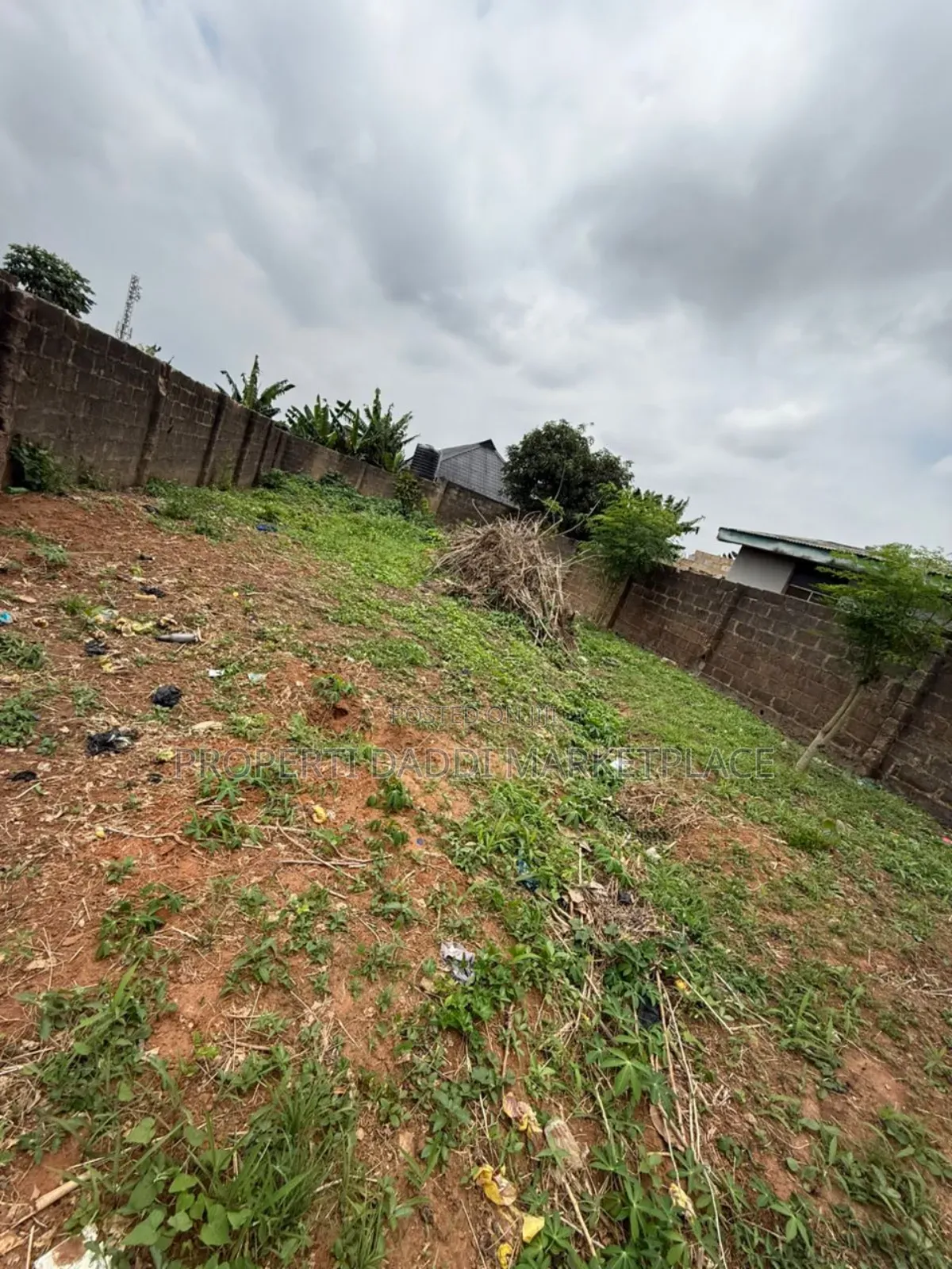 Dry Virgin Land for Sale in Ayobo