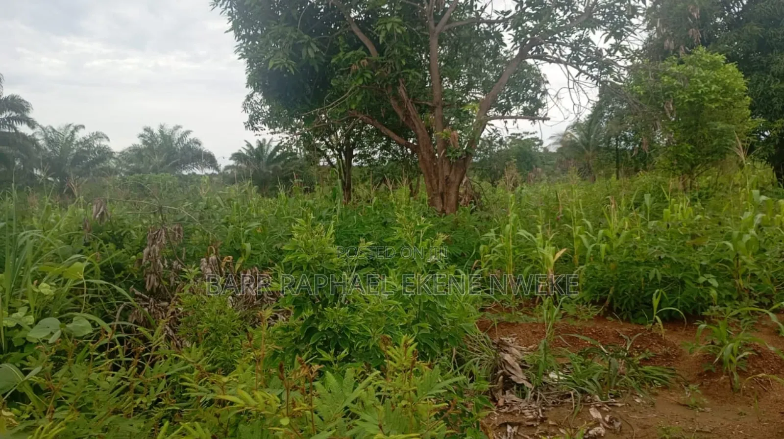 118 Plots of Land for Sale in Aghamelu
