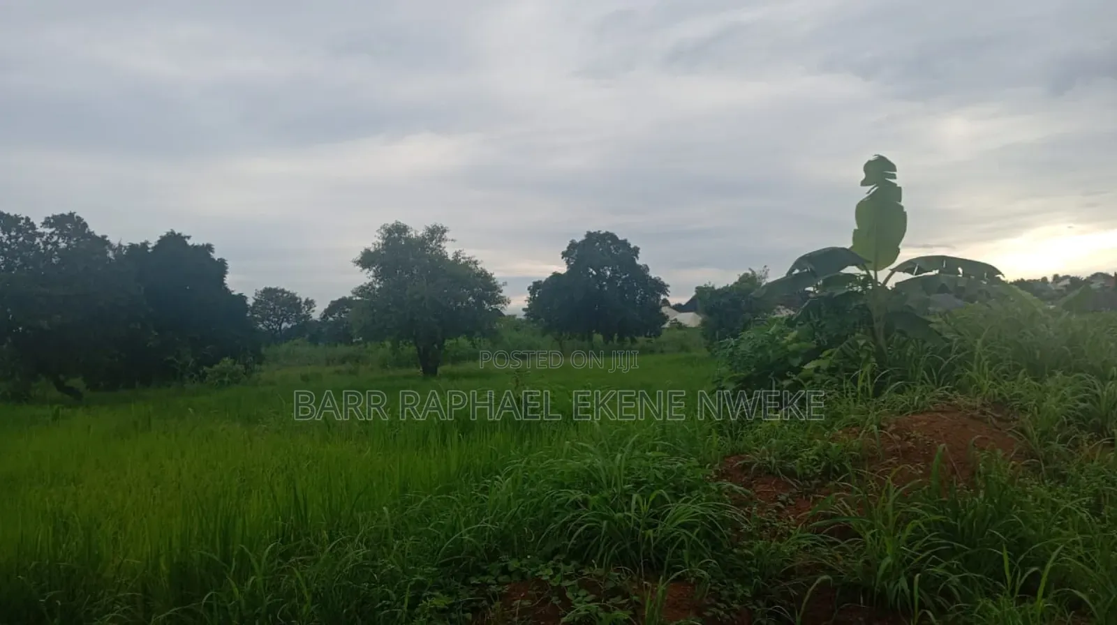 30 Plots of Land for Sale in Aghamelu