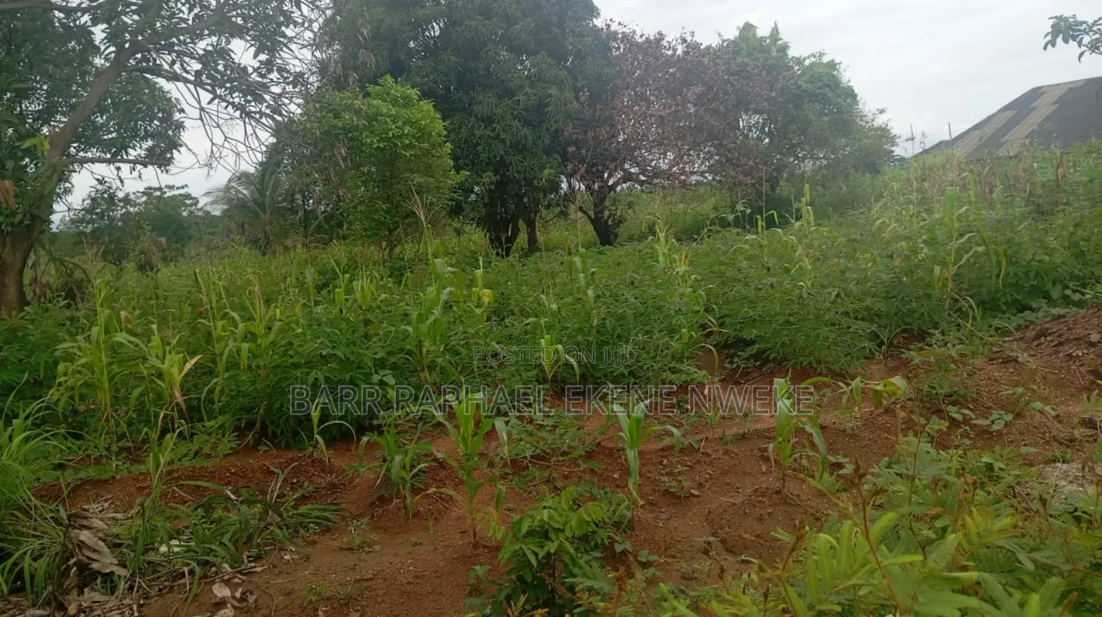 30 Plots of Land for Sale in Aghamelu